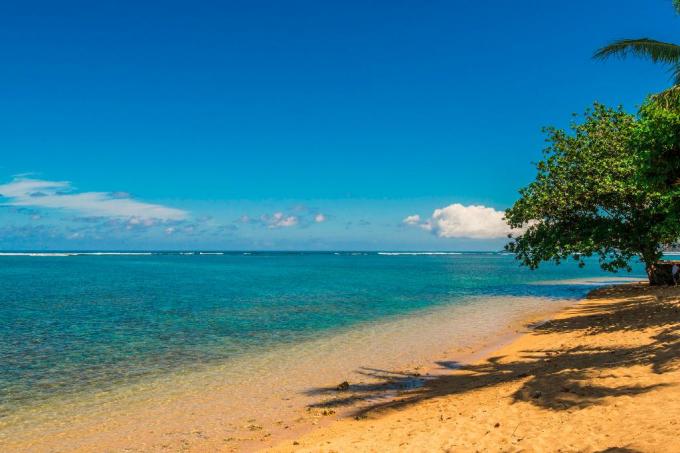 kauai-beachfront-rentals-find-20-beachfront-homes-hawaiian-beach-rentals