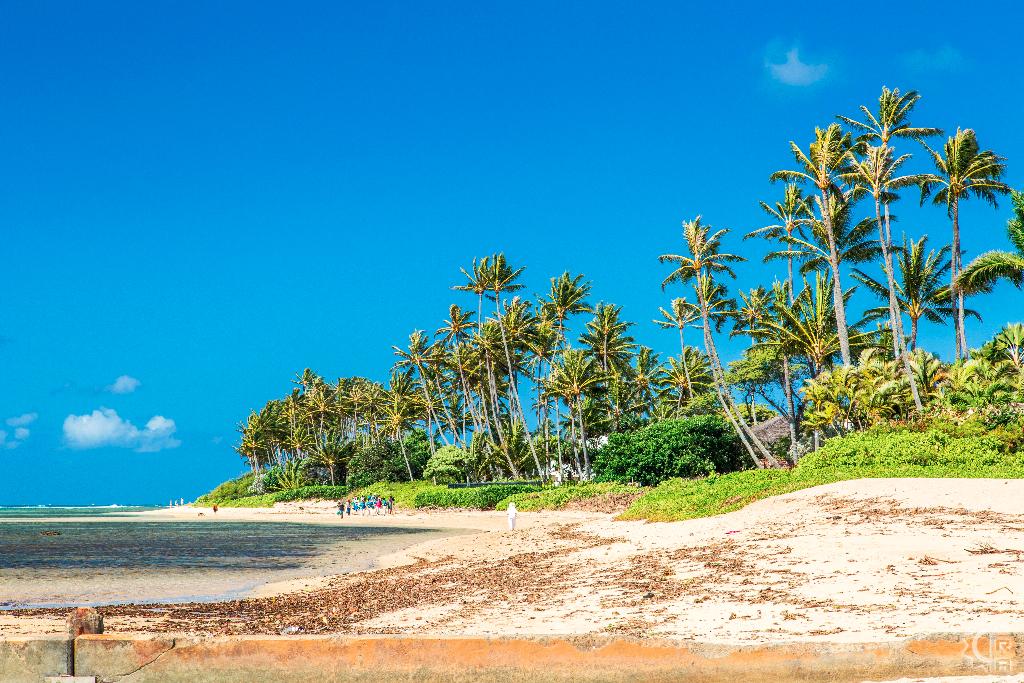 Waialae Beach in Kahala, Oahu, Hawaii | Hawaiian Beach Rentals