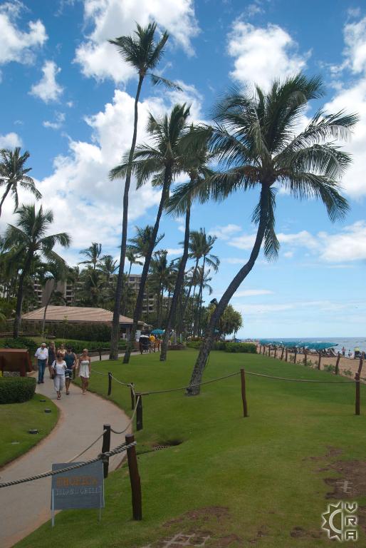 Ka'anapali Beach in Kaanapali, Maui, Hawaii | Hawaiian Beach Rentals