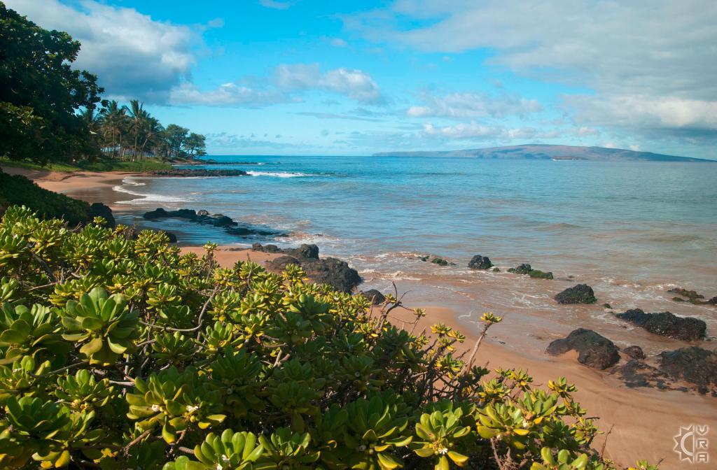 Polo Beach in Makena, Maui, Hawaii | Hawaiian Beach Rentals