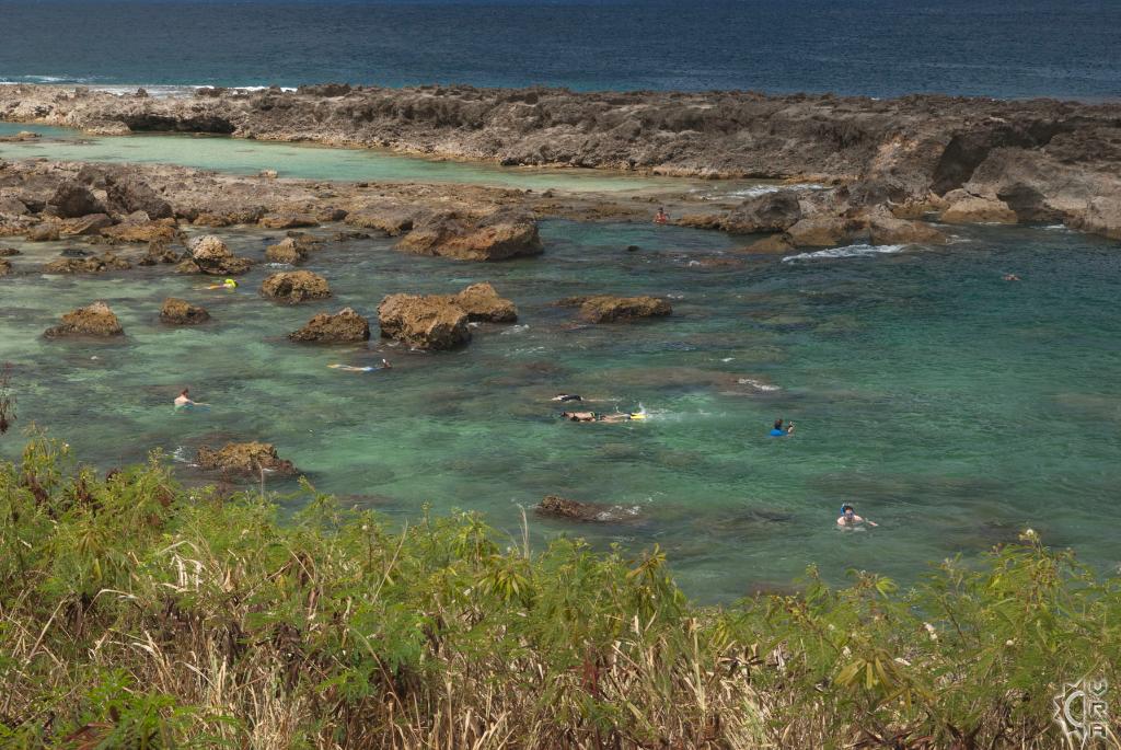 Shark's Cove - Pupukea Tide Pools in Haleiwa, Oahu, Hawaii | Hawaiian ...