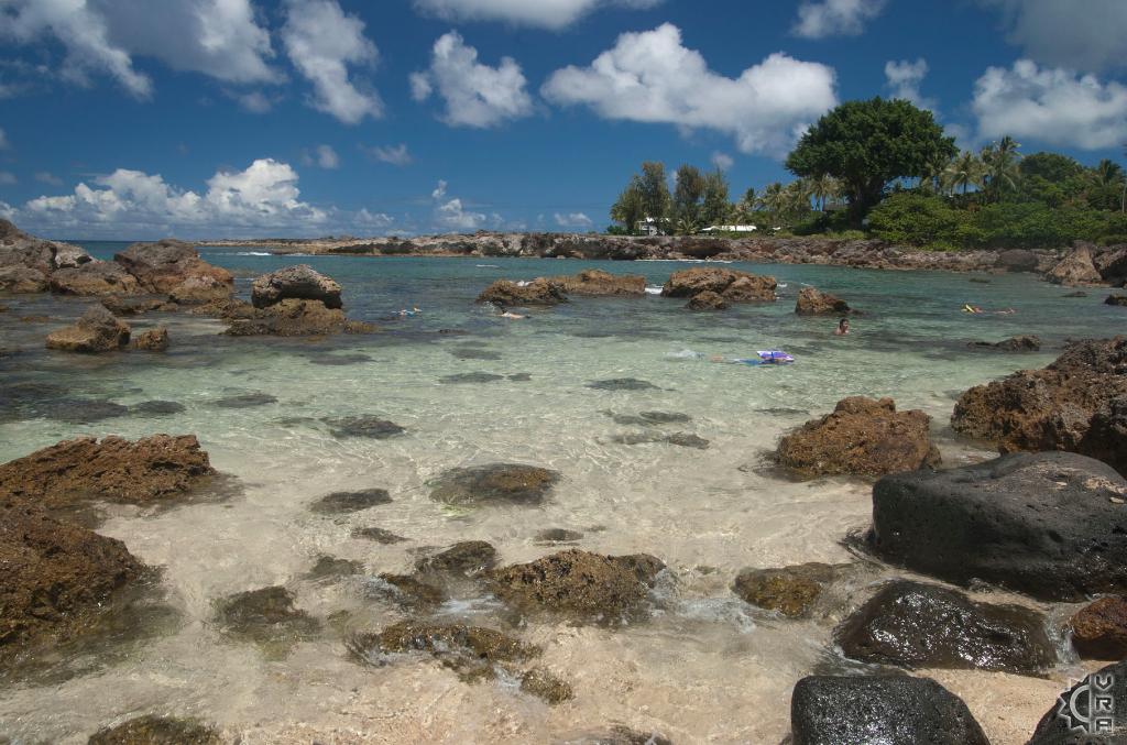 Shark's Cove - Pupukea Tide Pools in Haleiwa, Oahu, Hawaii | Hawaiian ...