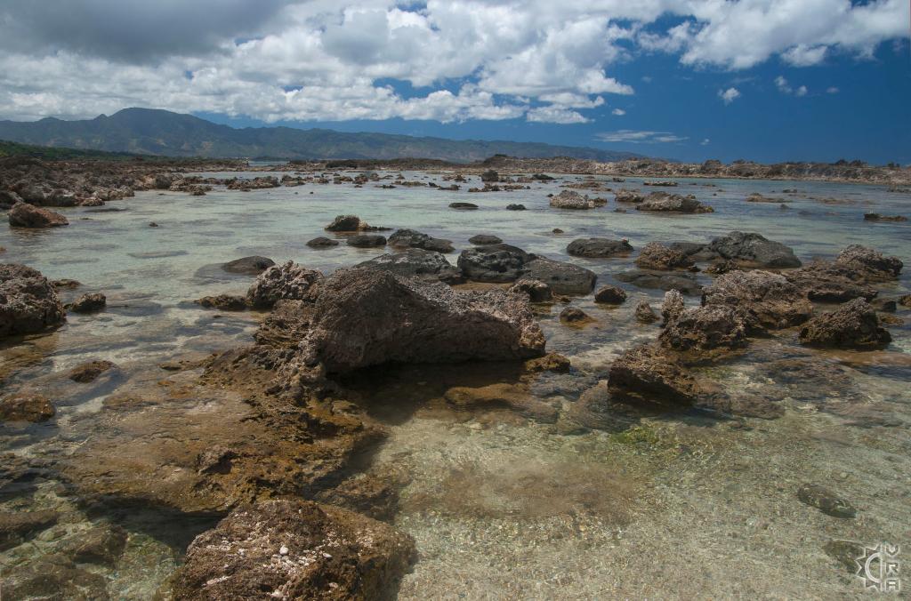 Shark's Cove - Pupukea Tide Pools in Haleiwa, Oahu, Hawaii | Hawaiian ...